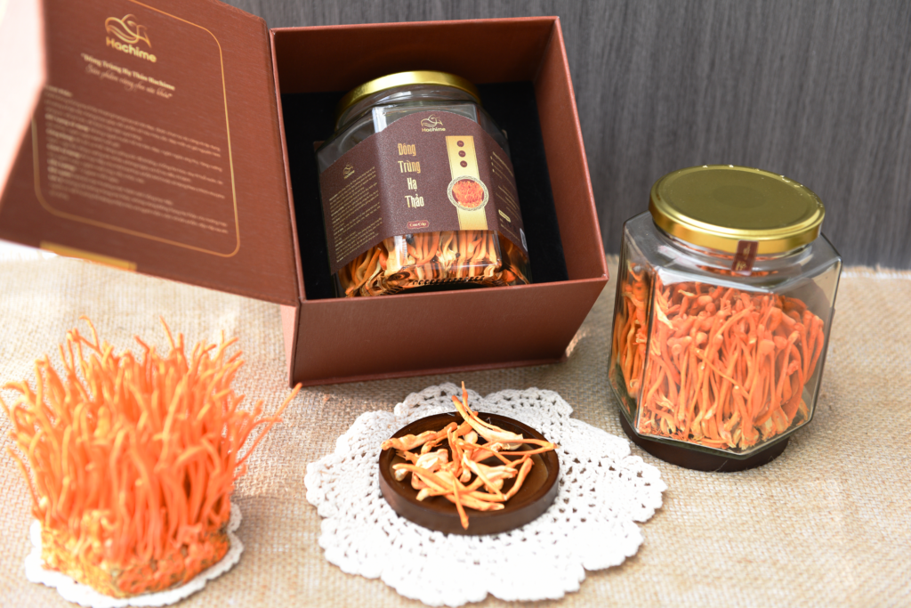 Đông trùng hạ thảo Hachime