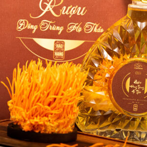 Chai rượu XO ngâm ĐTHT (sinh khối) 750ml thượng hạng